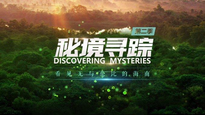 智慧问答网-不同年龄段的男人,都喜欢什么类型的女人呢?,快速解答您的问题